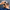 Person shaving their head with a trimmer, back view, against a gray background.