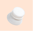 Exfoliation Brush