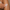 files/psh2.png